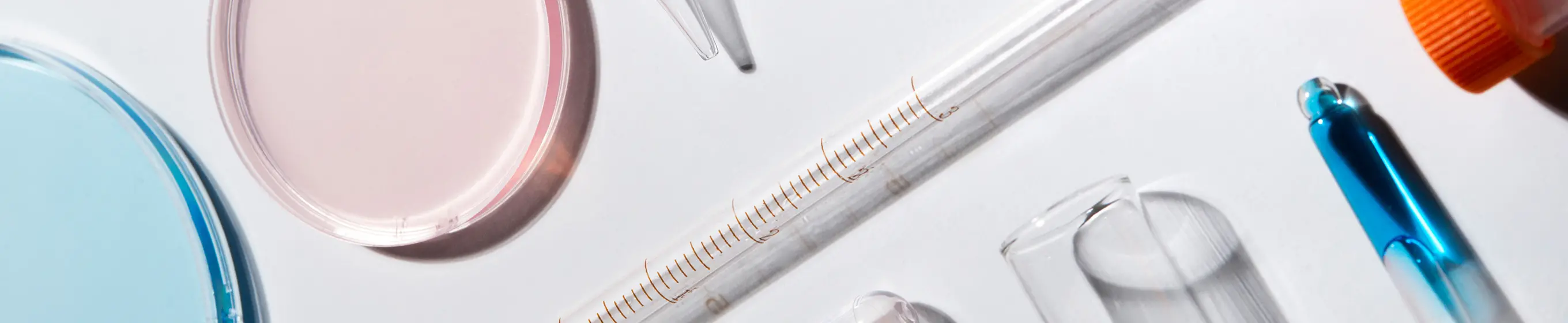 研究に使われる試験管、スポイトなどの器具