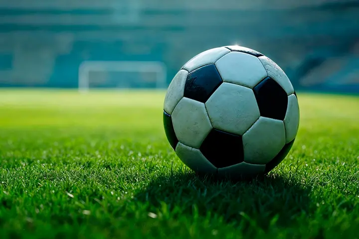 芝生の上にあるサッカーボール