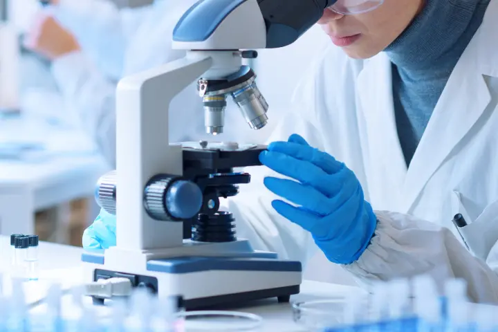 顕微鏡で調べている様子