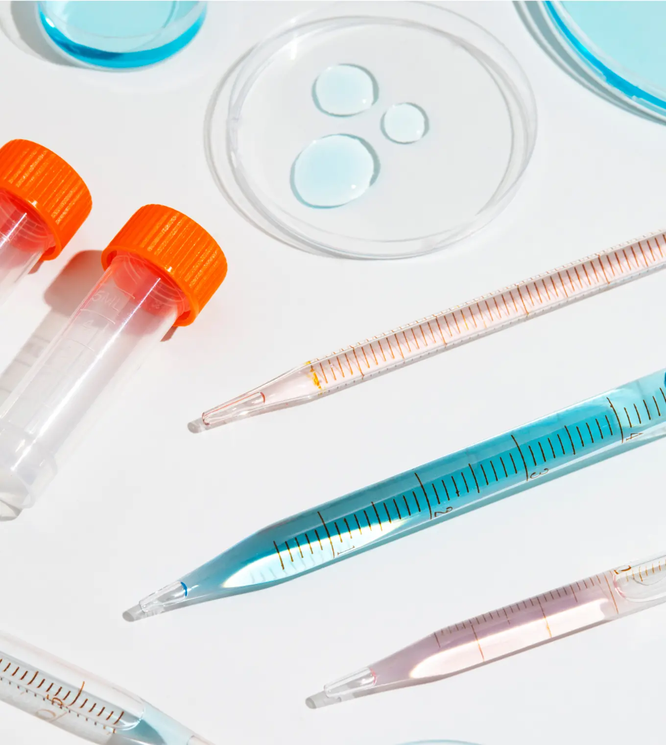 研究に使われるシャーレや試験管、スポイトなどの器具