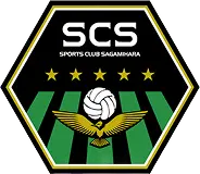 芝生に置かれたサッカーボール