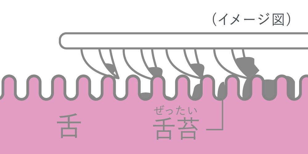 舌苔かきだしの図.jpg